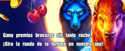 ¡Gana en grande con Olimpo Bet!